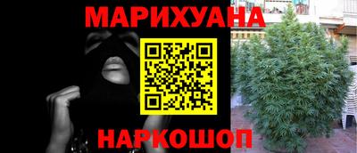 сатива Бугуруслан