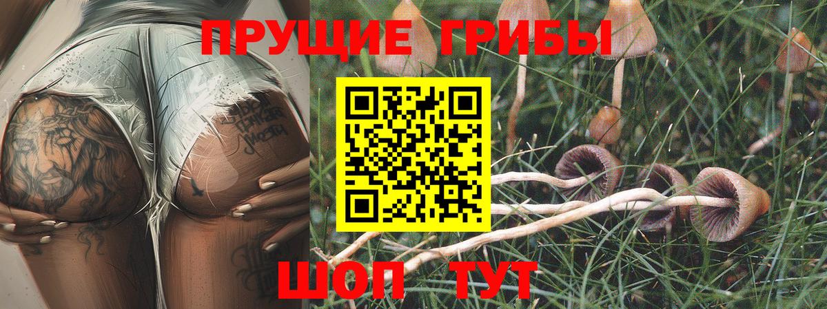 Галлюциногенные грибы мицелий Кыштым