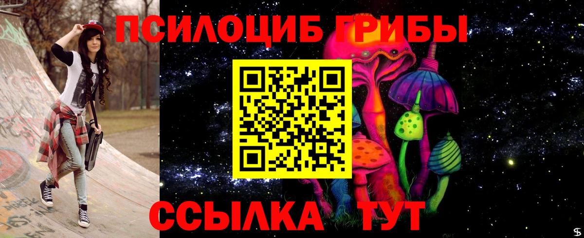 Кыштым  Псилоцибиновые грибы MAGIC MUSHROOMS  Вход с VPN 